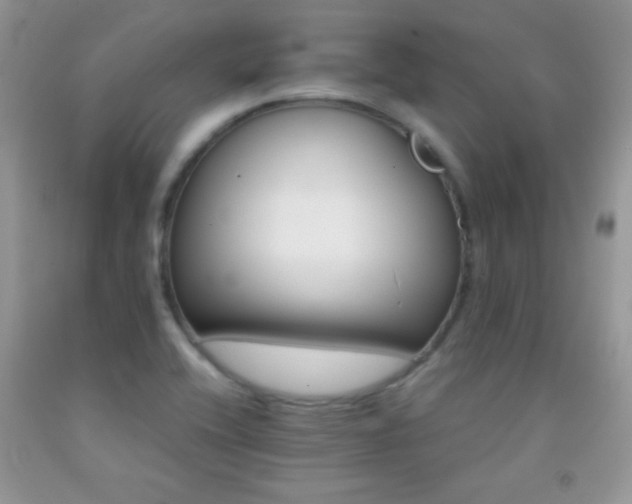 X0000092291416200709141250