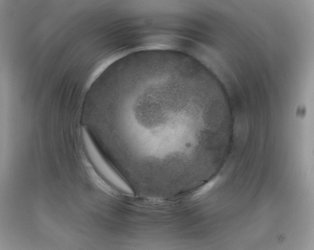 X0000092291417200709141250