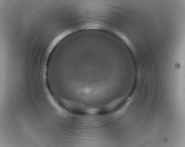 X0000092291418200709141250