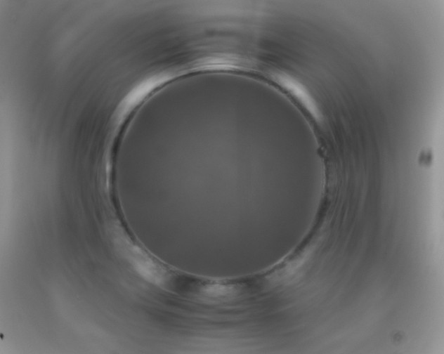 X0000092291419200709141250