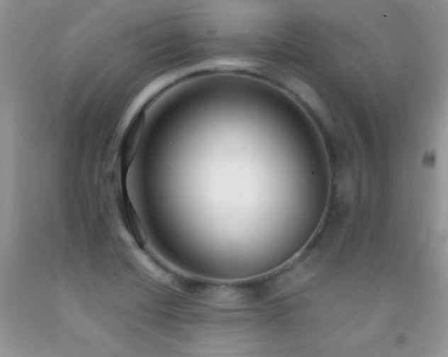 X0000092291420200709141250