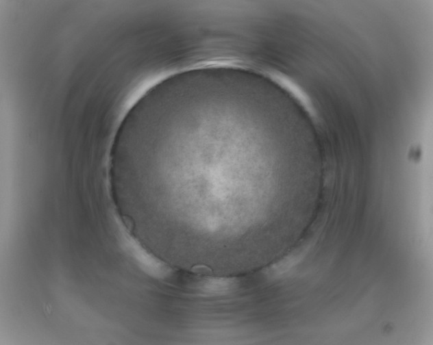 X0000092291423200709141251