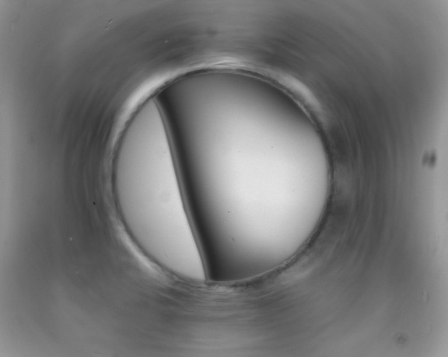 X0000092291424200709141251