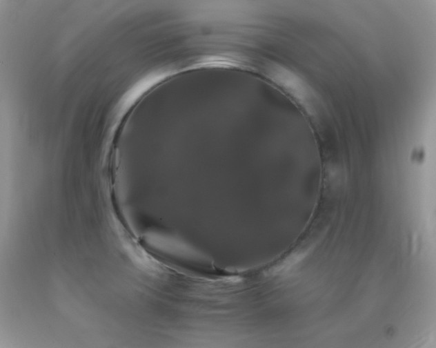X0000092291427200709141251