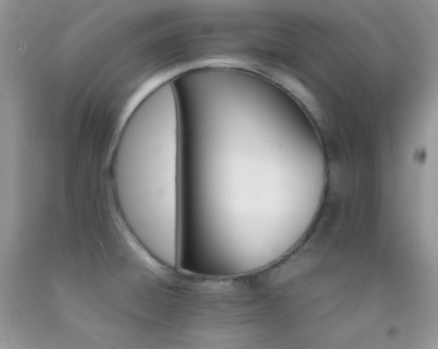 X0000092291428200709141251