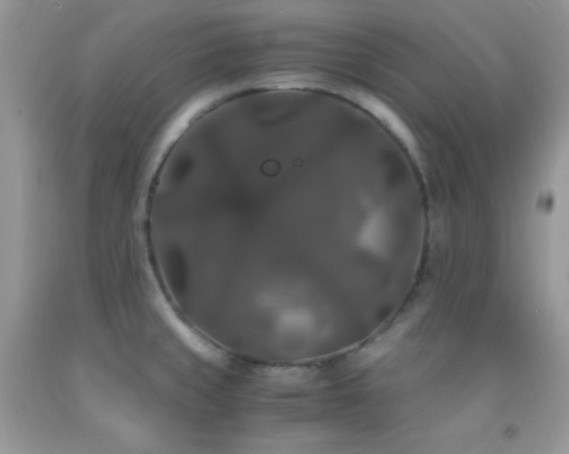 X0000092291429200709141251