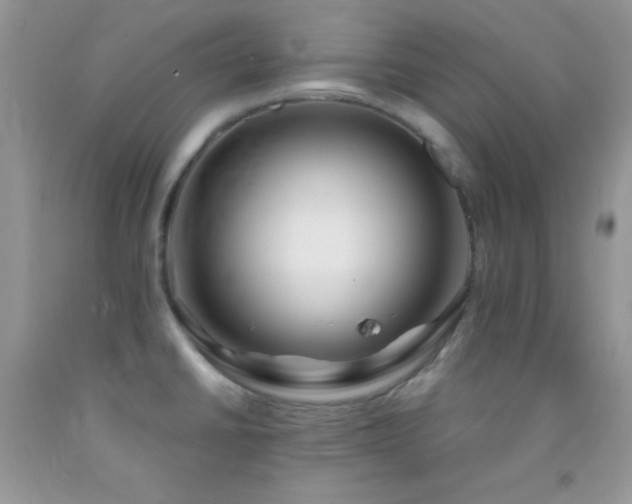 X0000092291430200709141251
