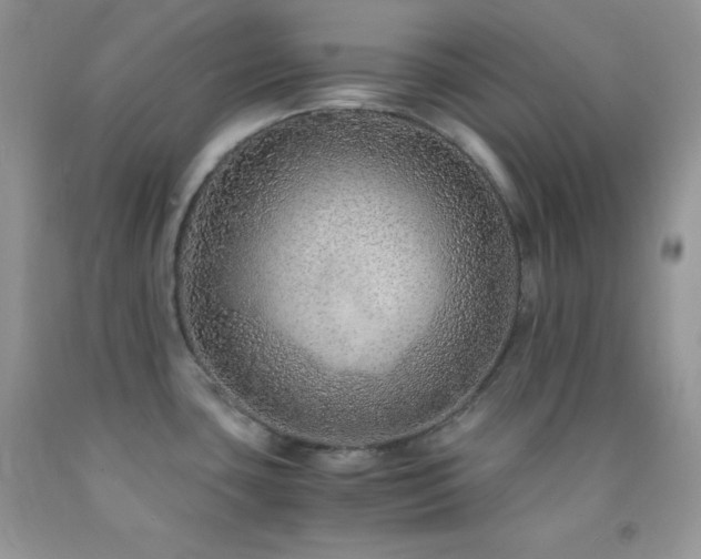 X0000092291435200709141251