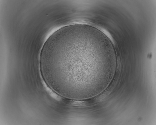 X0000092291439200709141251