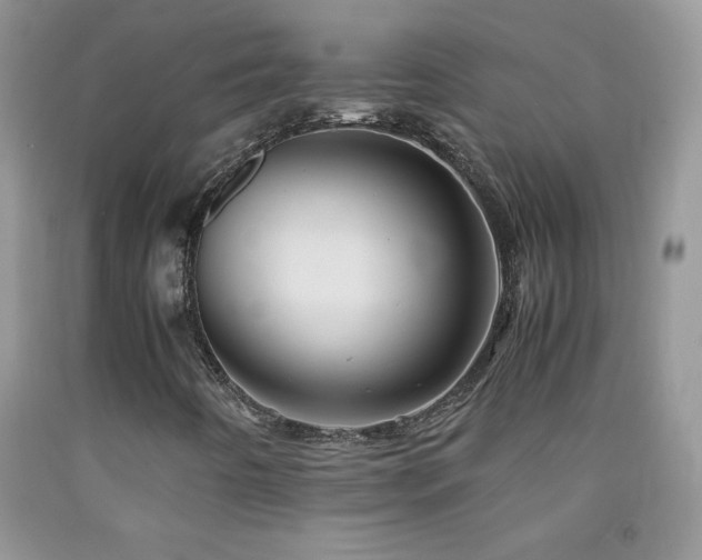 X0000092291442200709141250