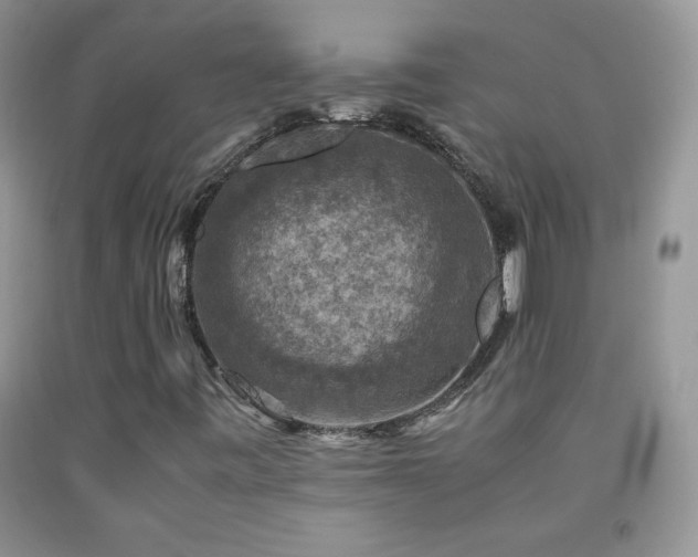X0000092291443200709141250
