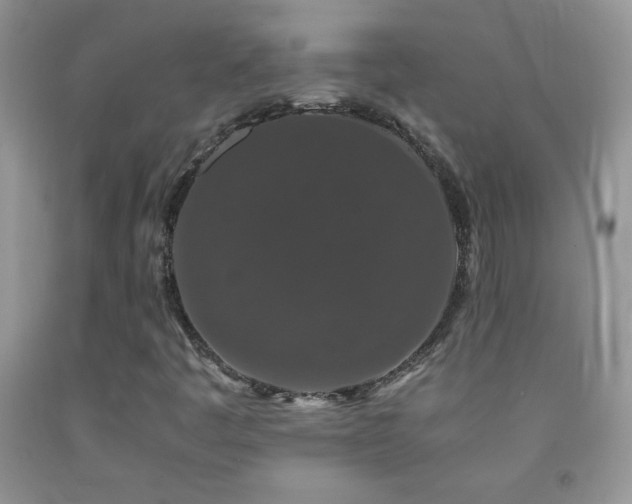 X0000092291445200709141250