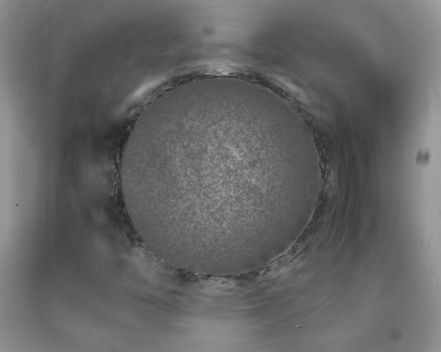 X0000092291446200709141250
