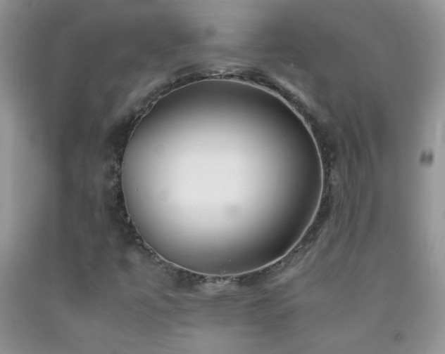 X0000092291447200709141250