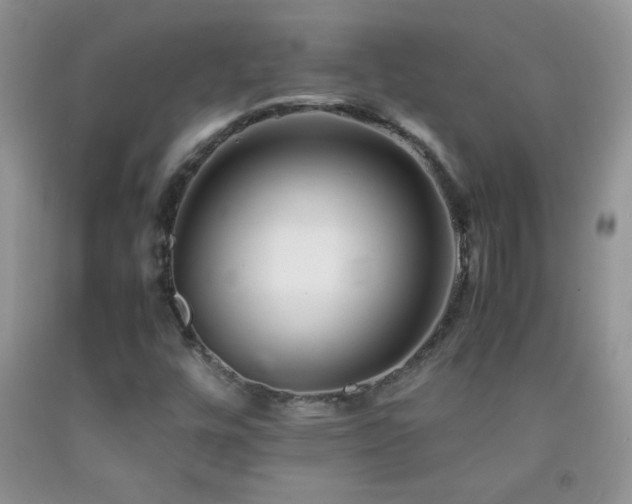X0000092291448200709141250