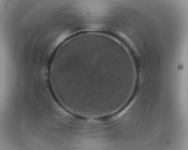X0000092291449200709141250