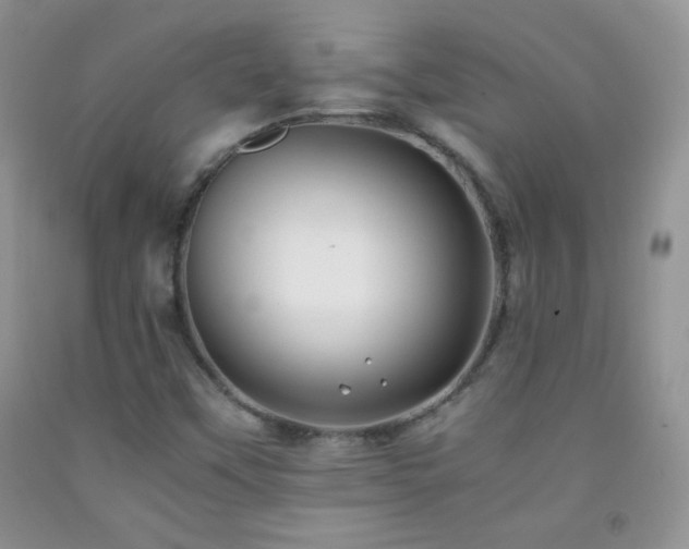 X0000092291451200709141250