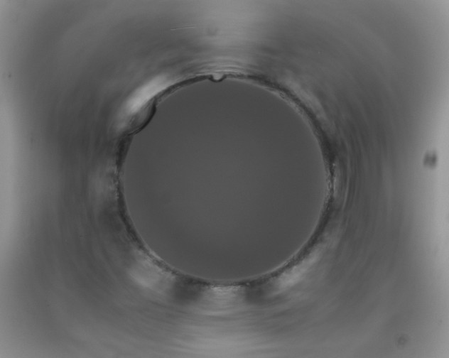 X0000092291453200709141250