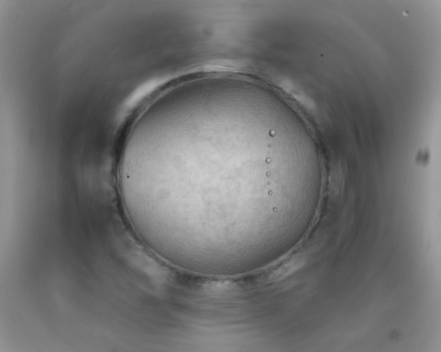 X0000092291454200709141250