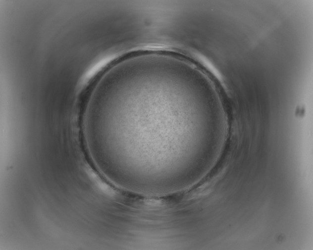 X0000092291456200709141250