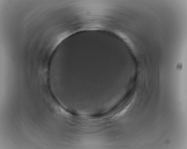 X0000092291457200709141250