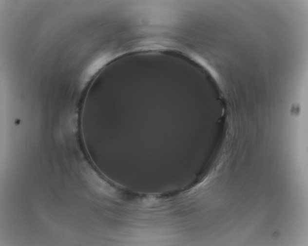 X0000092291459200709141250