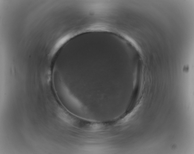 X0000092291461200709141250