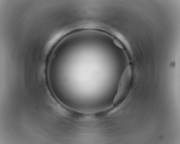 X0000092291464200709141250
