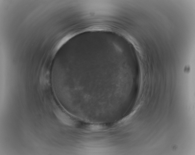 X0000092291465200709141250