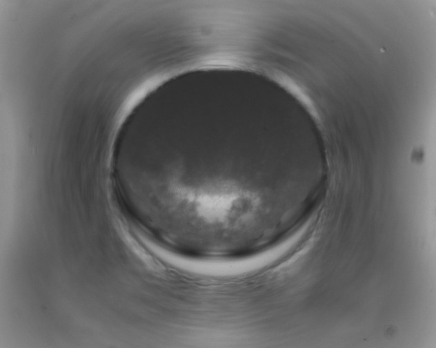 X0000092291469200709141250