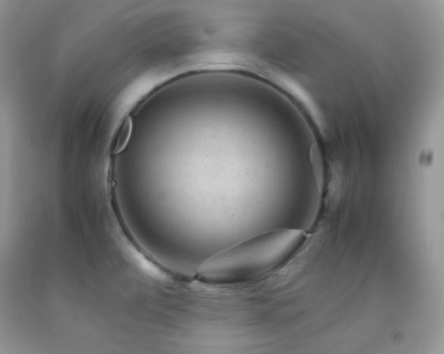 X0000092291472200709141250