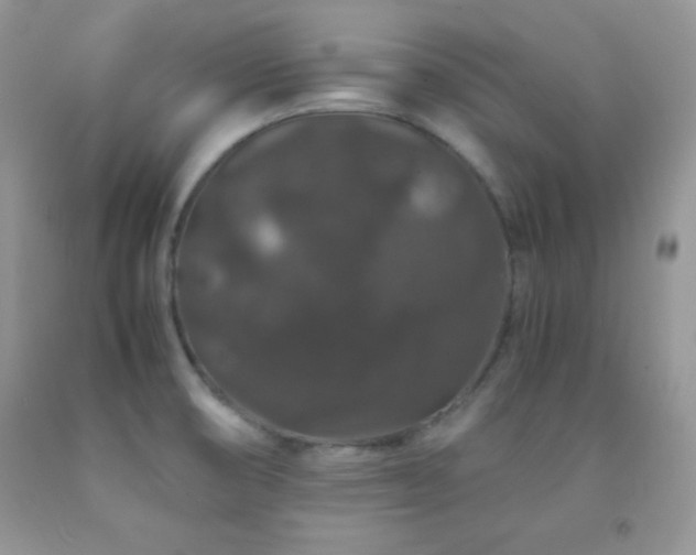 X0000092291474200709141250
