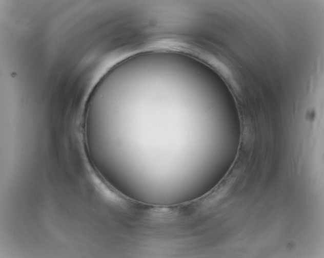 X0000092291478200709141250