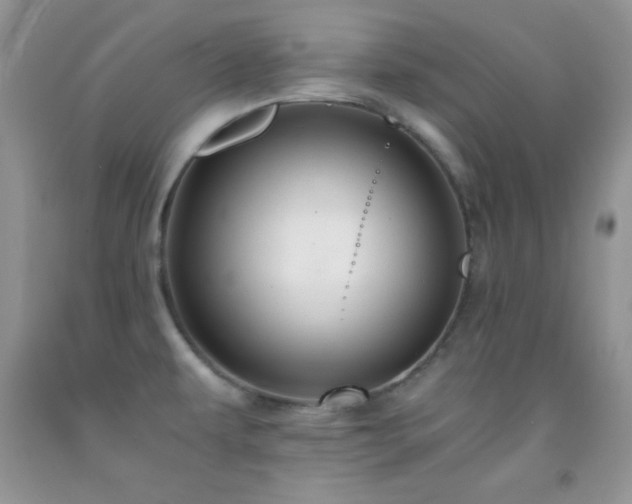X0000092291479200709141250