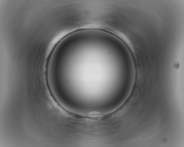 X0000092291480200709141250