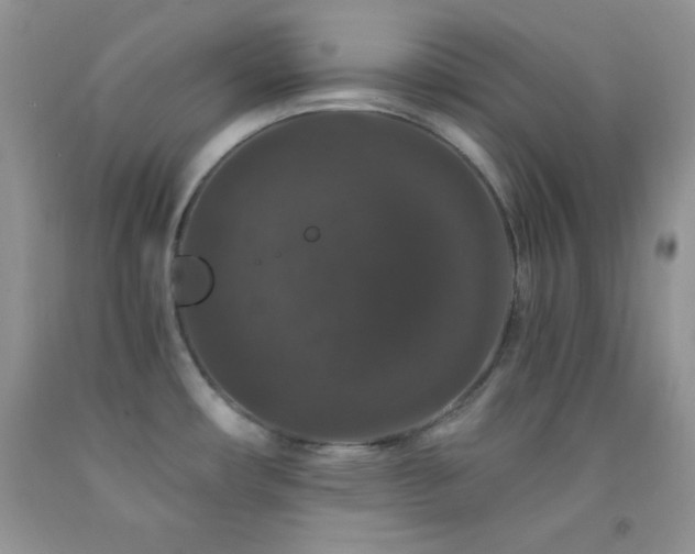 X0000092291482200709141250