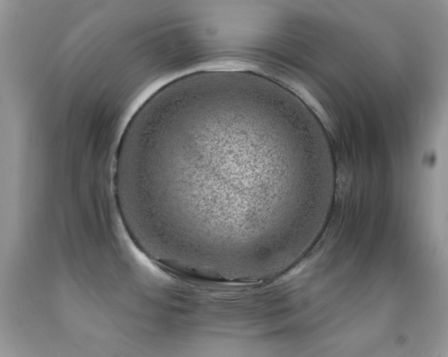 X0000092291484200709141250