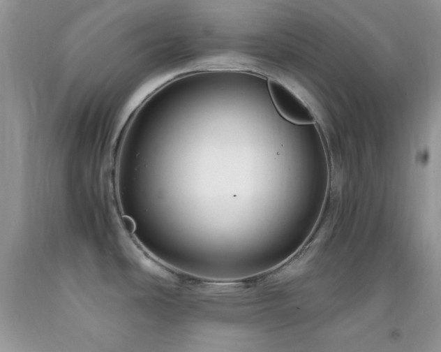 X0000092291486200709141250