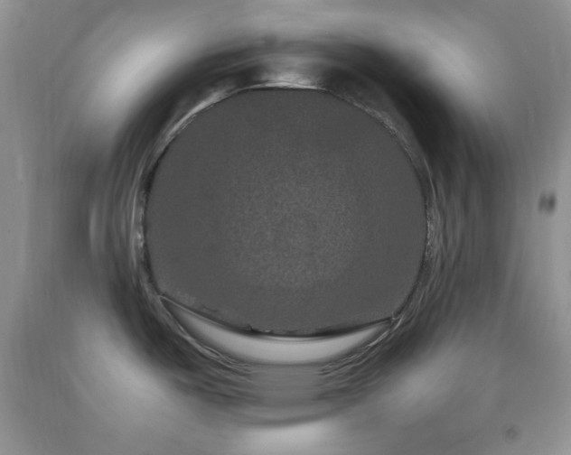 X0000092291487200709141250