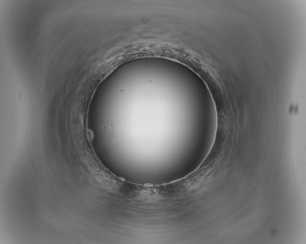 X0000092291489200709141249