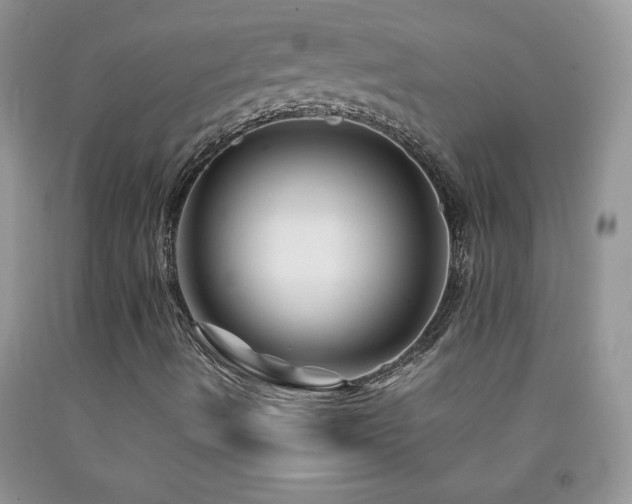 X0000092291490200709141249