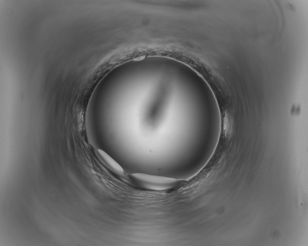X0000092291492200709141249