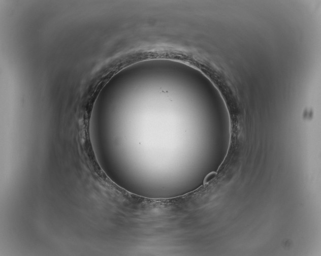X0000092291493200709141249