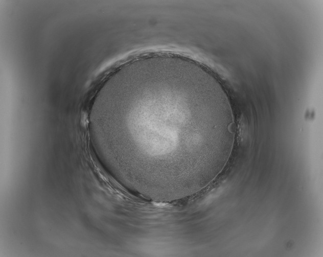 X0000092291494200709141249