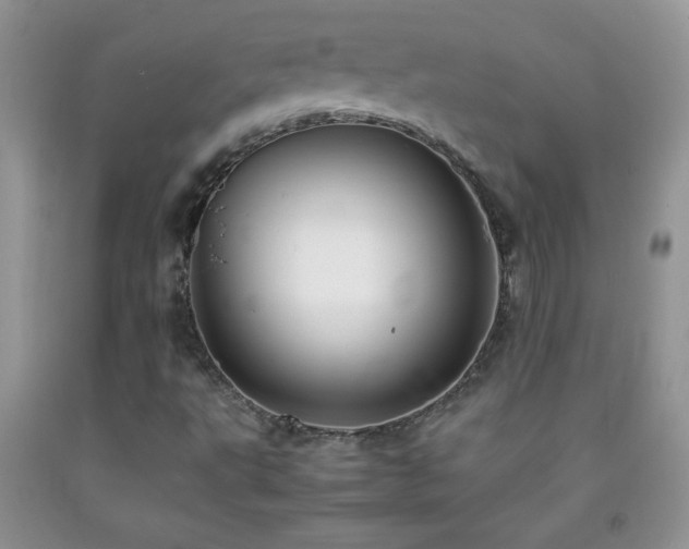 X0000092291495200709141249