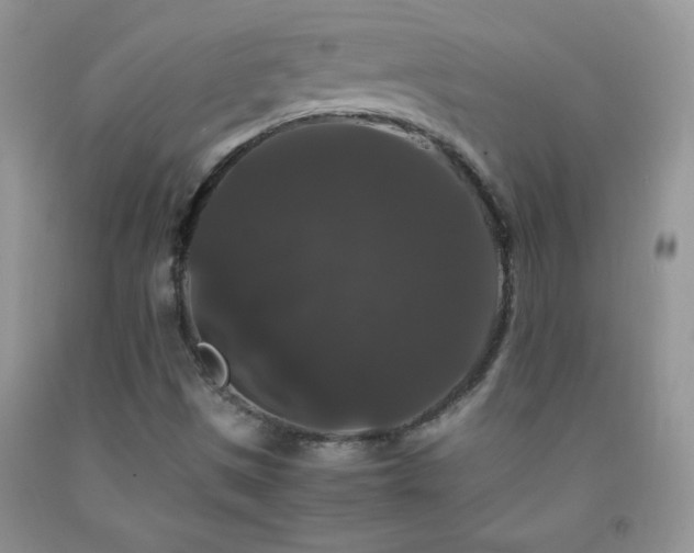 X0000092291497200709141249