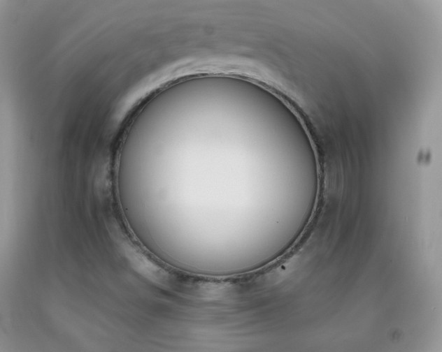 X0000092291498200709141249