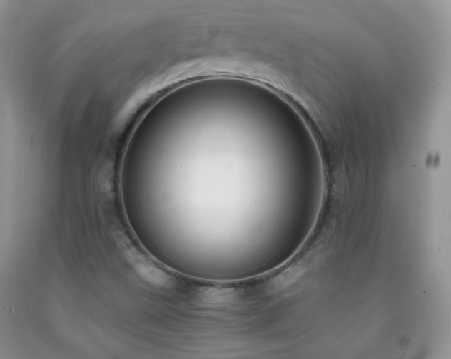 X0000092291499200709141249