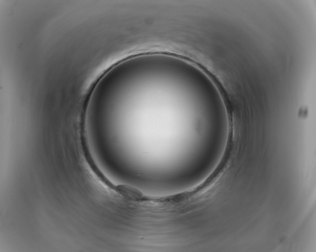 X0000092291500200709141249