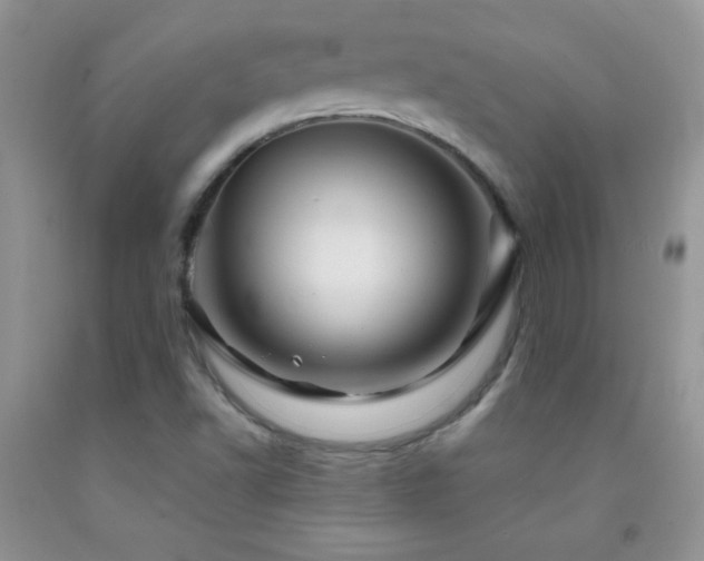 X0000092291502200709141249